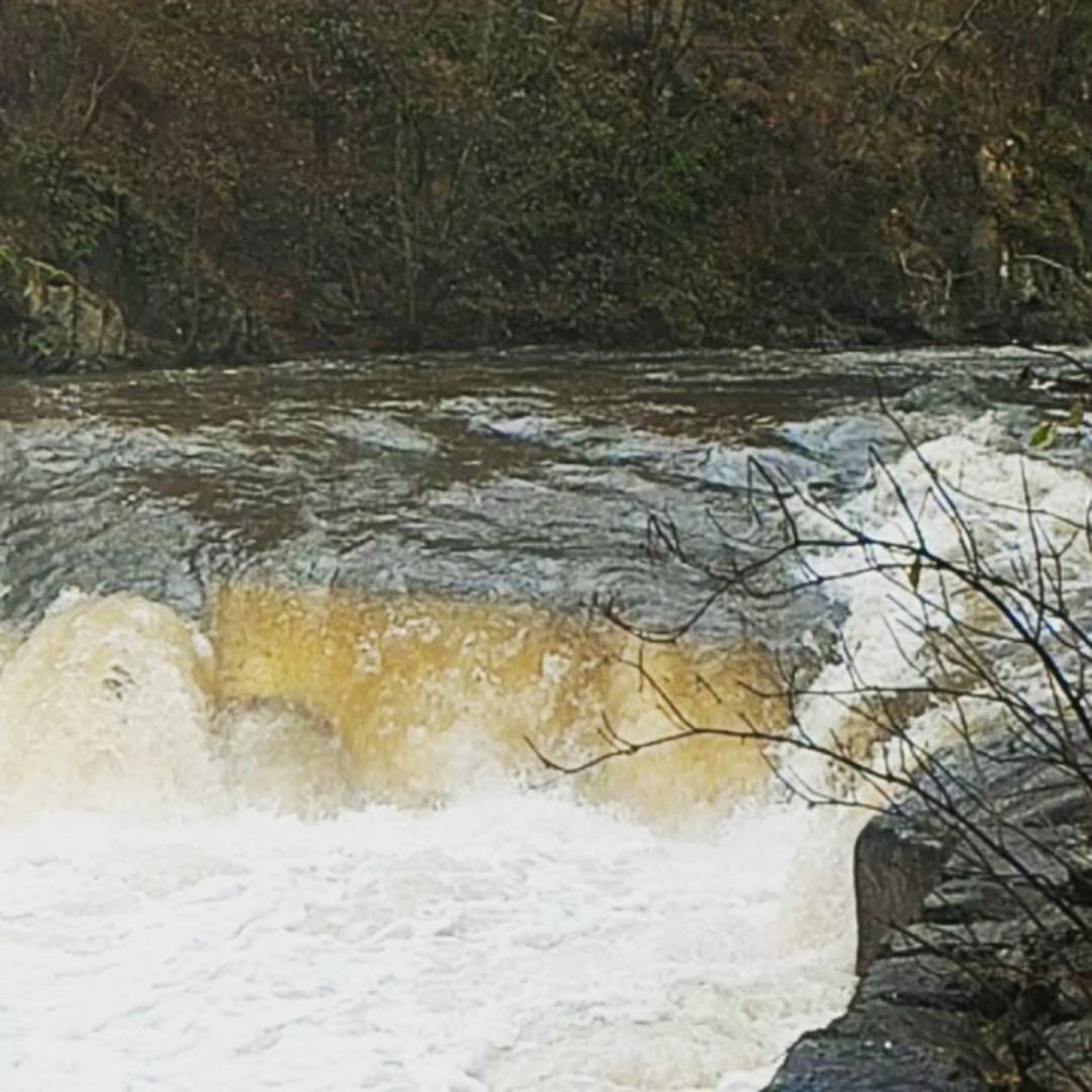 La Deûme après la pluie