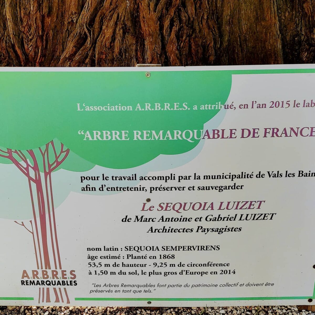 Label arbre remarquable de France attribué en 2015 par l'association A.R.B.R.E.S.