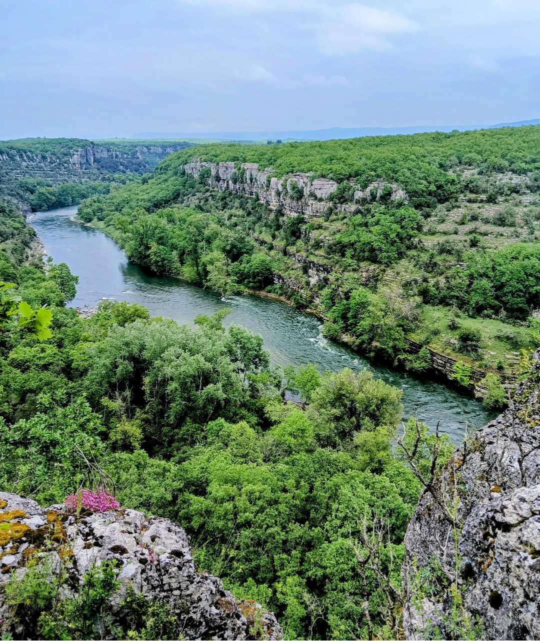 Depuis un rocher, vue panoramique sur les Gorges de l'Ardèche entourées de verdure près de Viel Audon / photo Voyage en Douce