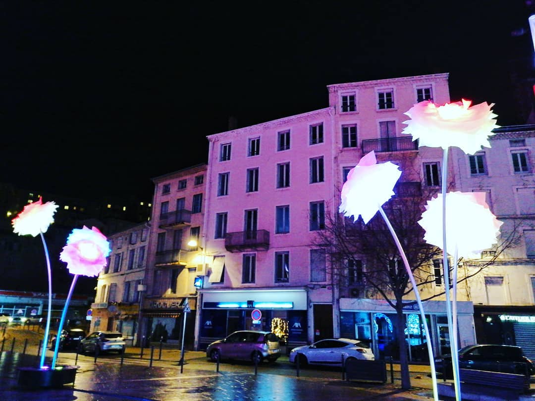 Les fleurs de Noël à Annonay