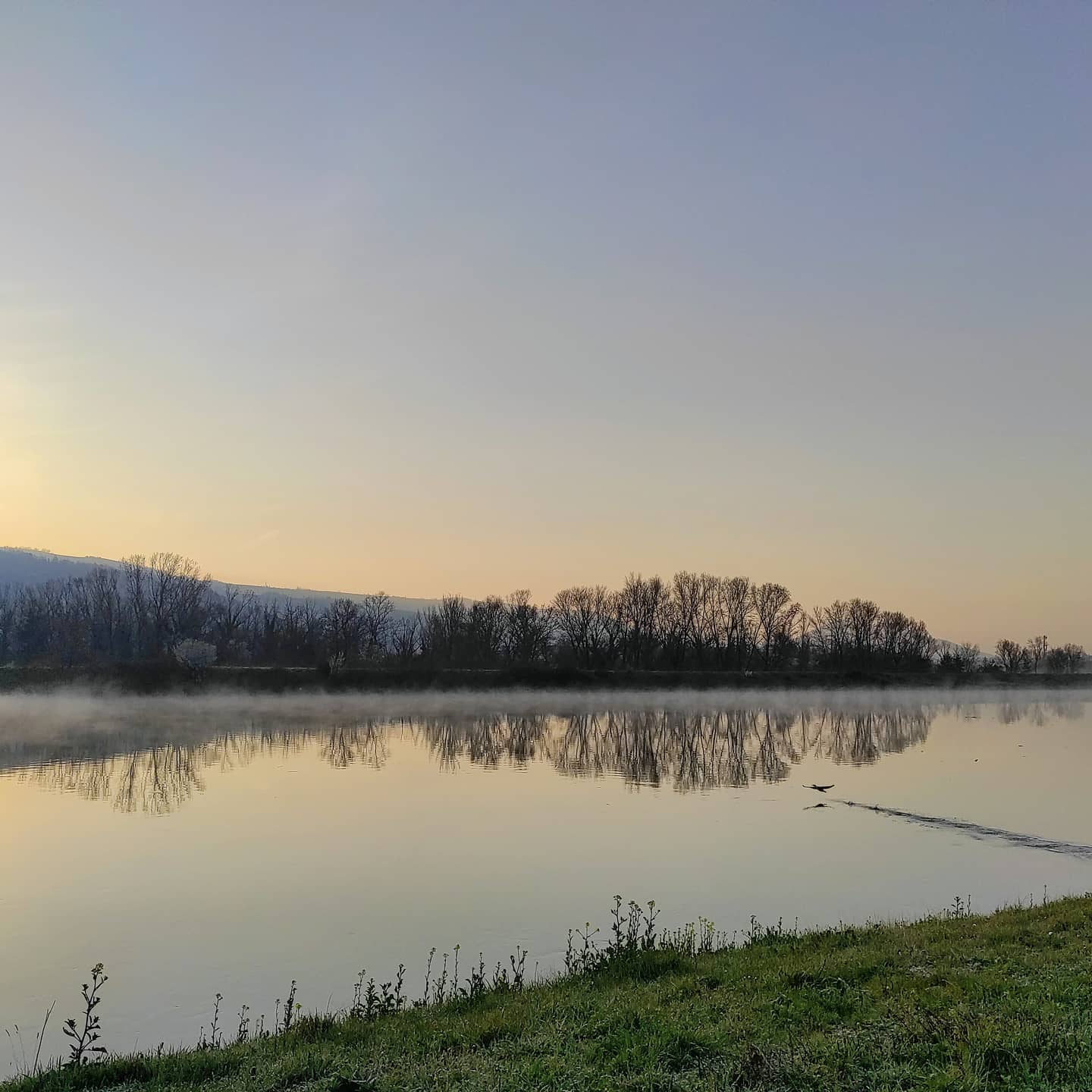 Oiseau d&rsquo;aurore et brume du Rhône