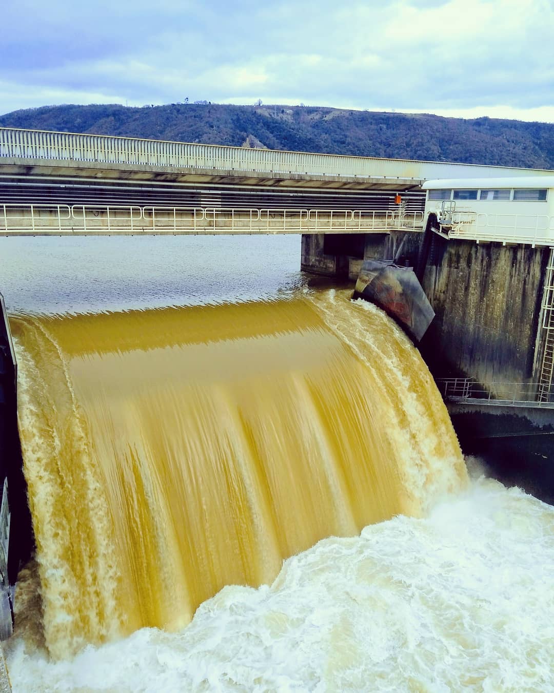 Langue de Rhône à Arras