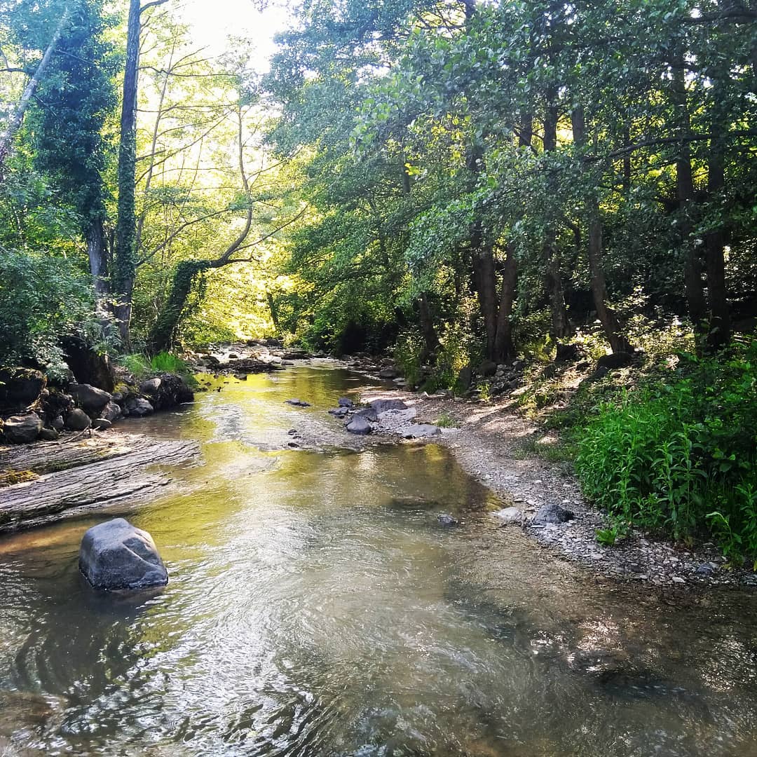 L&rsquo;Auzon dans le Coiron