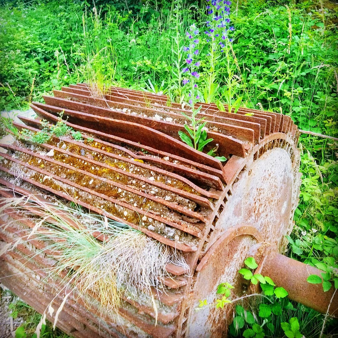 Vestige des usines Canson