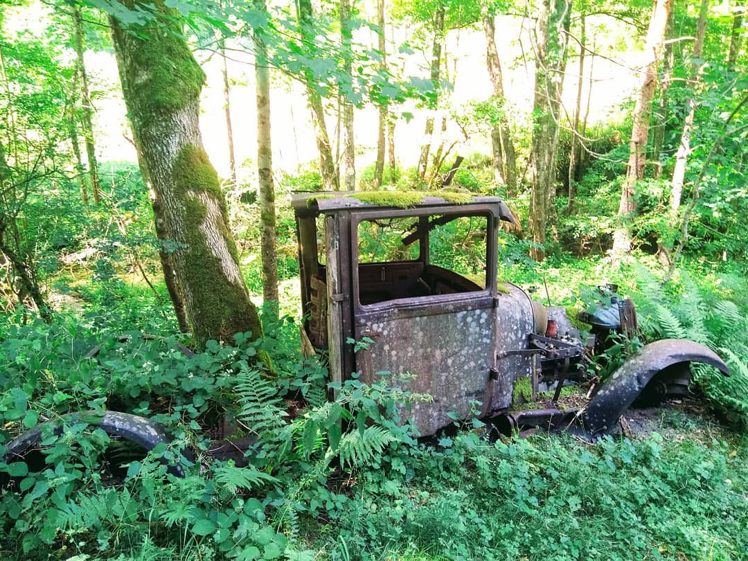 Voiture ancienne des bois