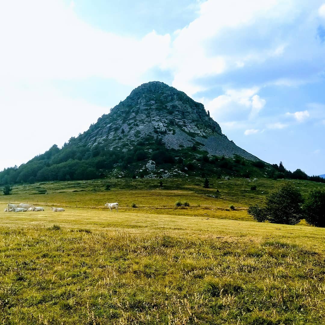 A la pointe du Gerbier-de-Jonc