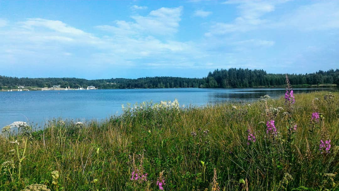 Un été à Devesset