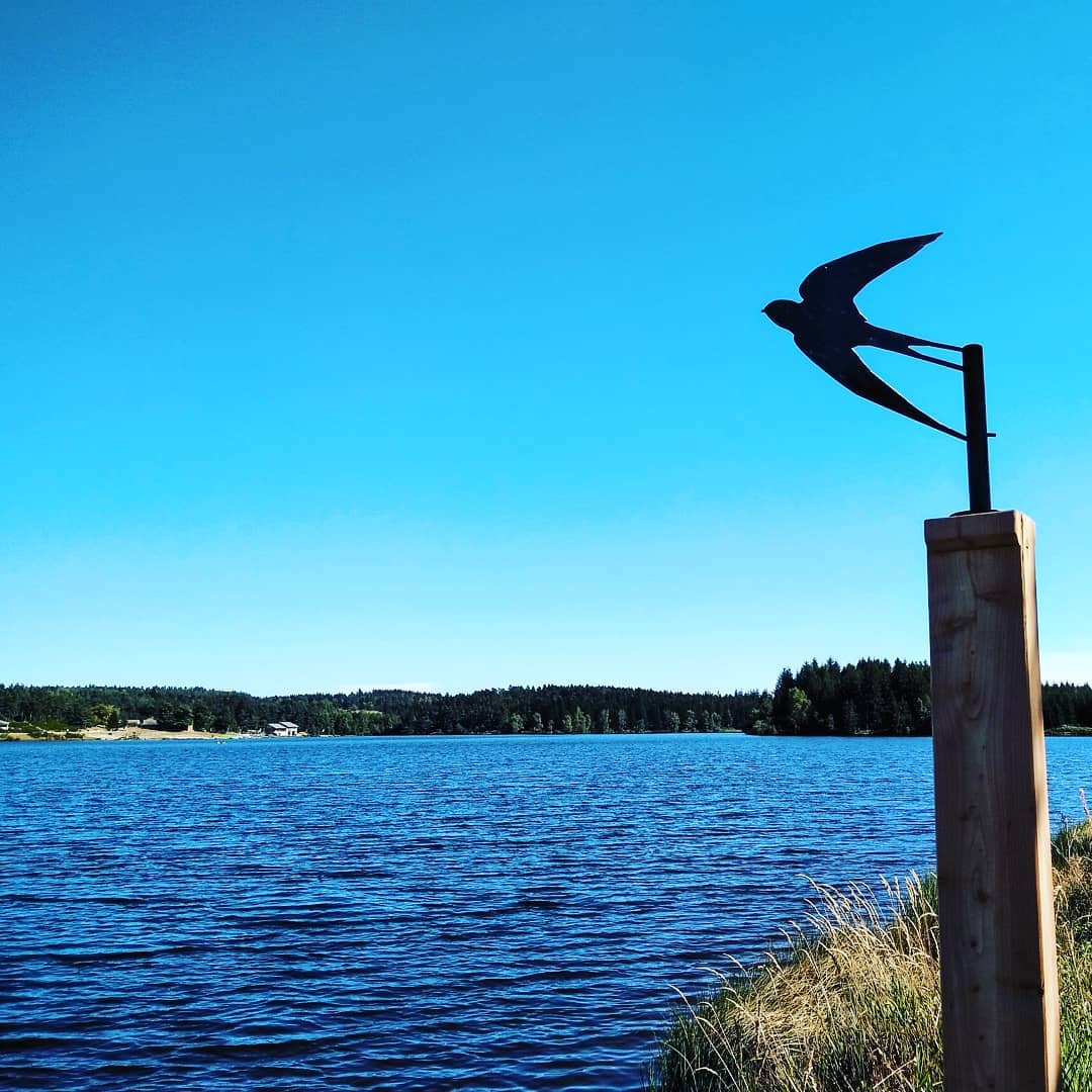 L&rsquo;oiseau figé de Devesset