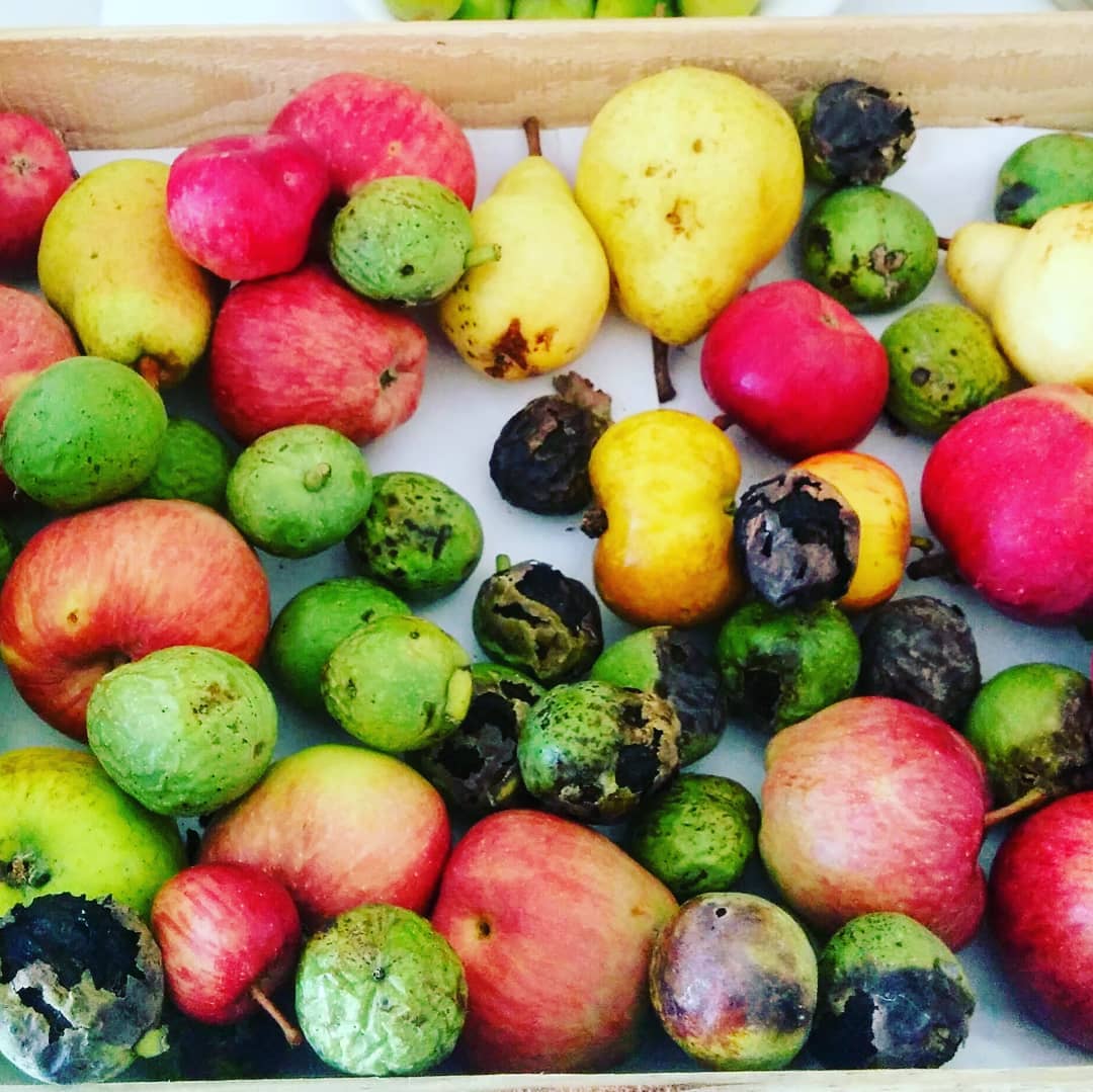 Glanage fruitier
