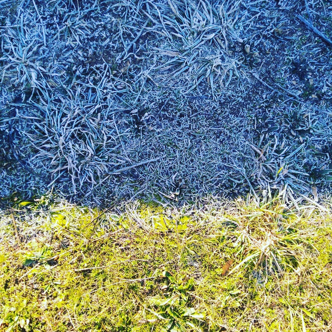 Gelées blanches et soleil