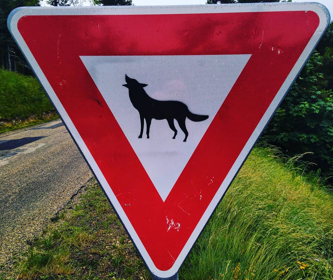 Signalétique du loup