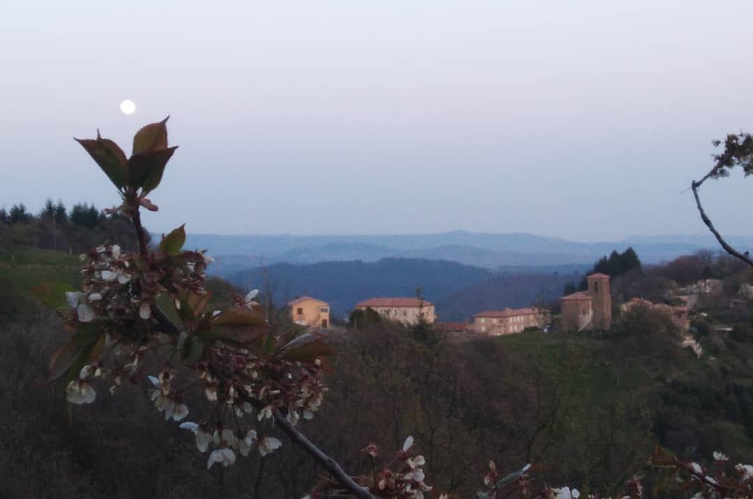 Bourgeon de pleine lune