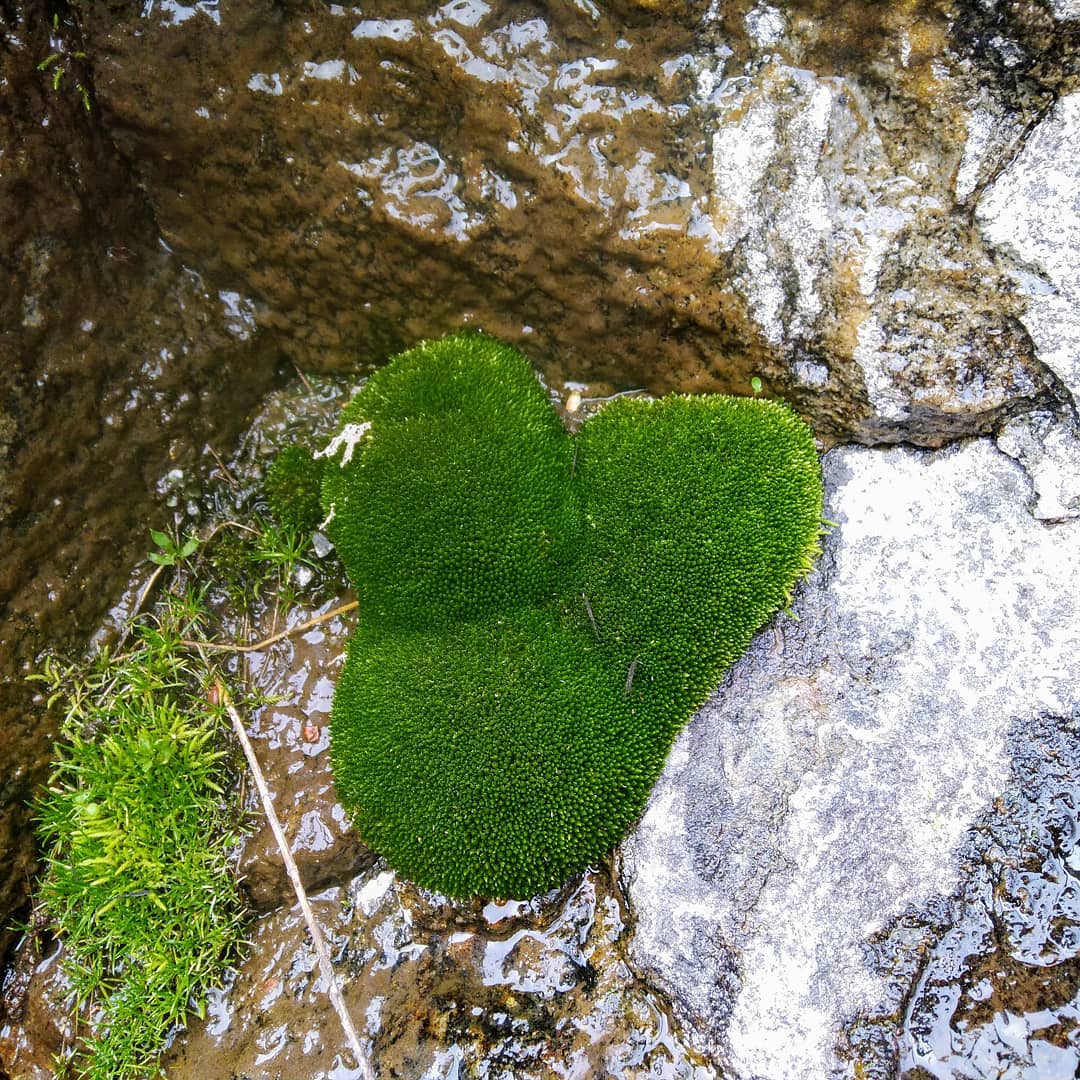 Cœur de nature en Ardèche