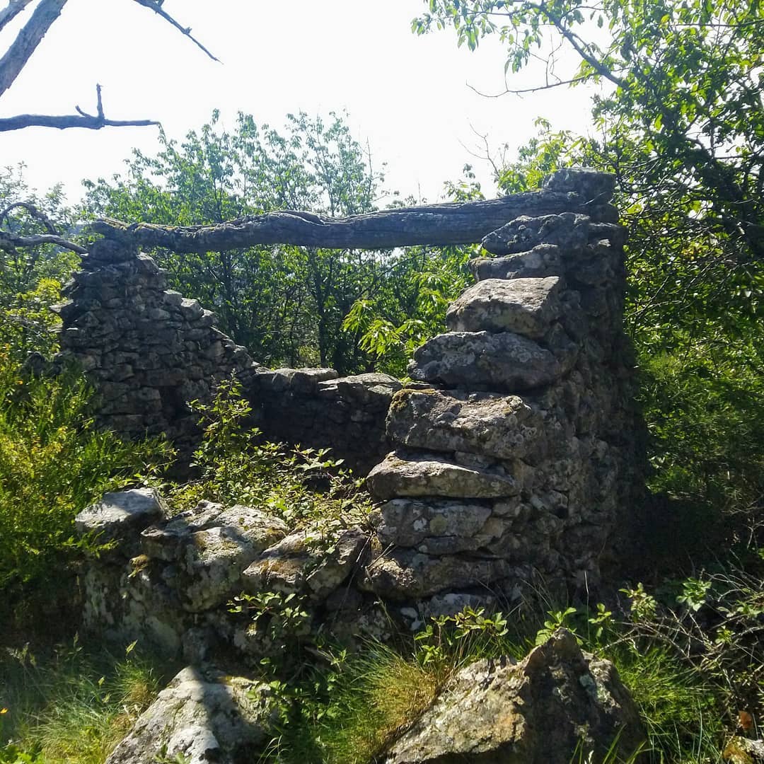 Ruine de clède et d'abri à berger sur les hauteurs de la vallée de la Fontaulière au milieu de châtagniers