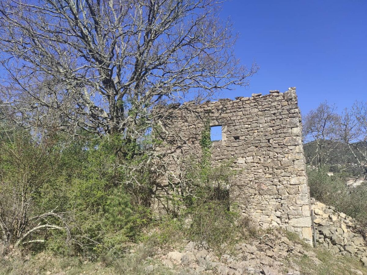 Ruine d'une ferme en Ardèche avec une façade en en pierre taillé, encadrement porte et fenêtre (photo)