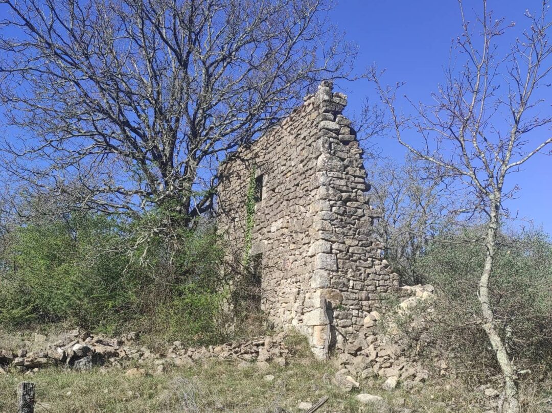 Ruine d'une ferme en Ardèche avec un pan de mur en pierre avec encadrement porte et fenêtre (photo)