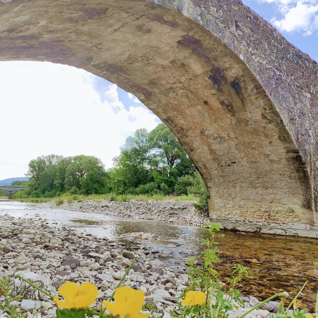 Vue d'une arche du pont romain de Viviers avec la rivière de l'Escoutay et les pavots des bois jaunes au premier plan (photo)