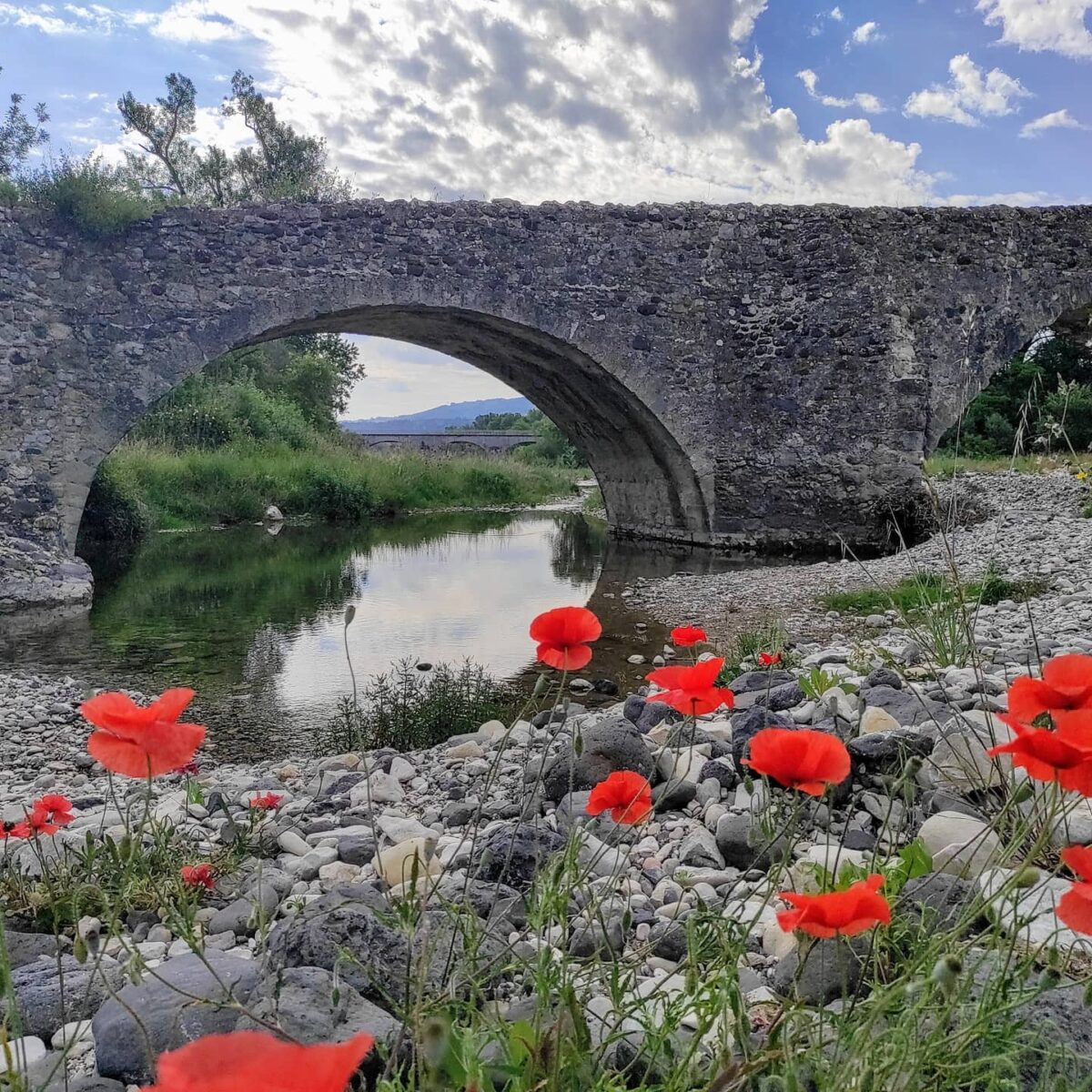 Fleurs romaines de l&rsquo;Escoutay