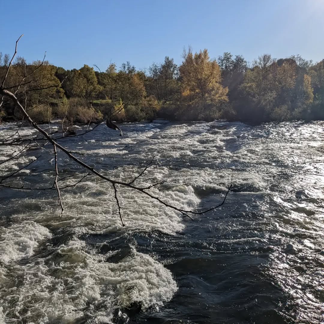 Vue sur l'Ardèche en crue après la pluie depuis les rives arborées avec vue sur le rocher de Jastres en Ardèche (photo 2)