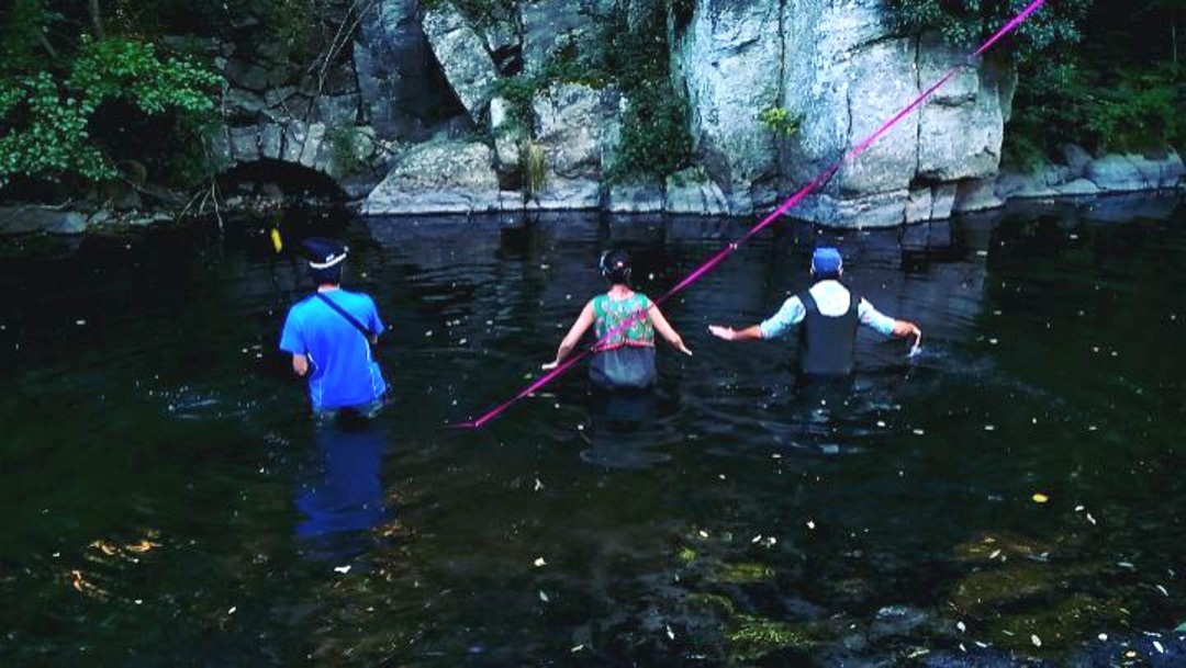 Art de rue dans la Deûme