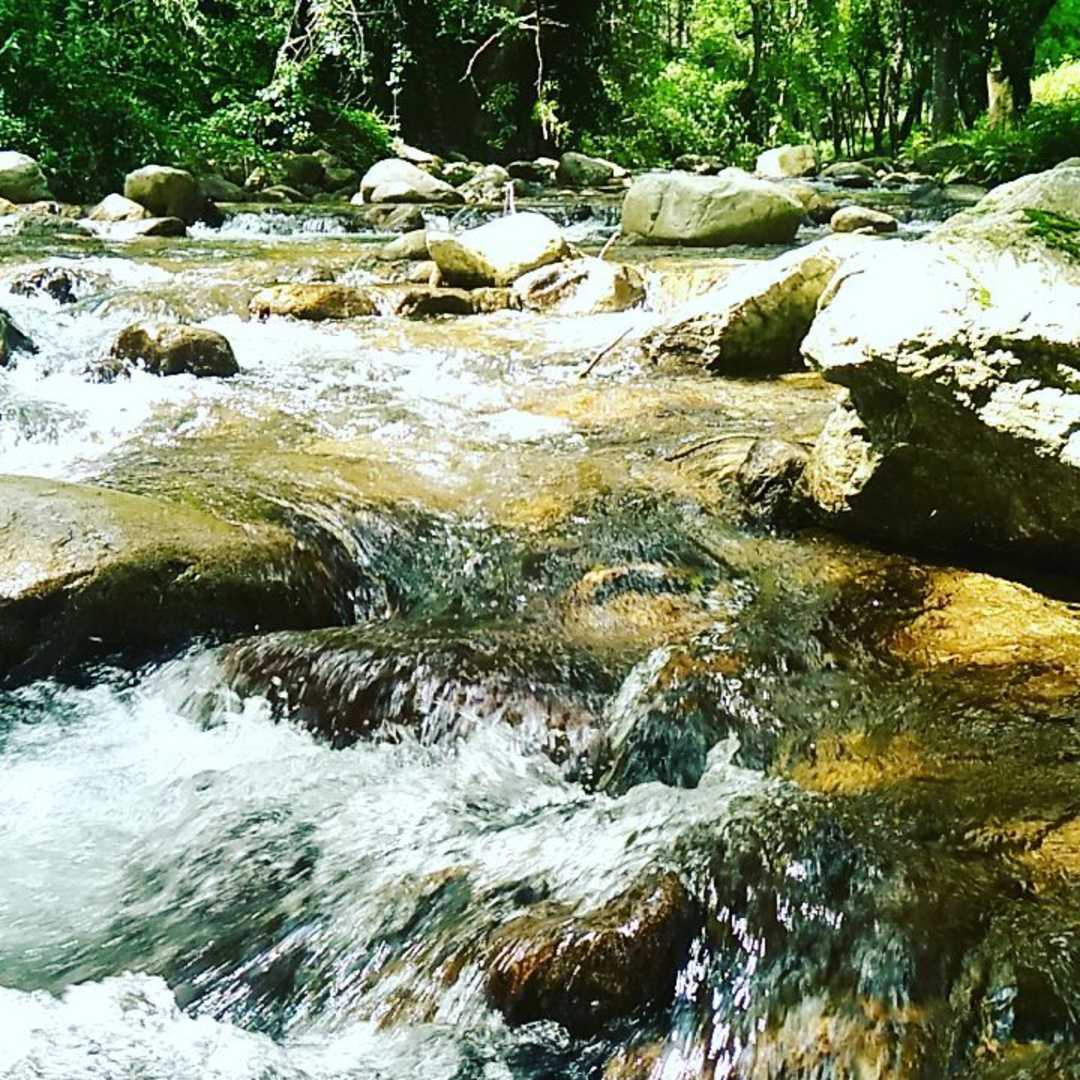 Fraîcheur de la Bise